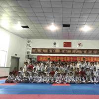 海南琼武国际跆拳道馆第十一届晋级升带考试圆满成功